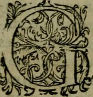 An illustration from Les lettres d'Estienne Pasquier, Conseiller & Advocat General du Roy à Paris : contenans plusieurs belles matieres & discours sur les affaires d'Estat de France, & touchant les guerres civiles, 1619, leaf 125