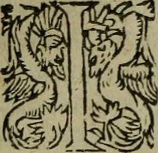 An illustration from Les lettres d'Estienne Pasquier, Conseiller & Advocat General du Roy à Paris : contenans plusieurs belles matieres & discours sur les affaires d'Estat de France, & touchant les guerres civiles, 1619, leaf 223