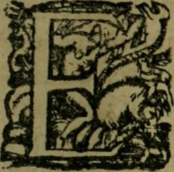 An illustration from Les lettres d'Estienne Pasquier, Conseiller & Advocat General du Roy à Paris : contenans plusieurs belles matieres & discours sur les affaires d'Estat de France, & touchant les guerres civiles, 1619, leaf 232