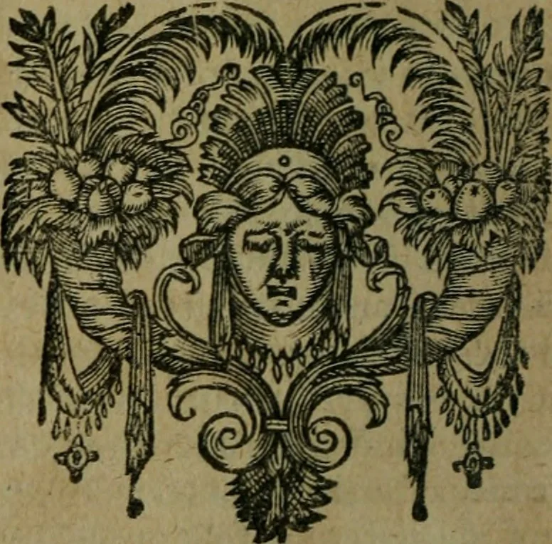 An illustration from Les lettres d'Estienne Pasquier, Conseiller & Advocat General du Roy à Paris : contenans plusieurs belles matieres & discours sur les affaires d'Estat de France, & touchant les guerres civiles, 1619, leaf 293