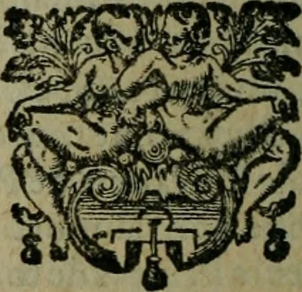 An illustration from Les lettres d'Estienne Pasquier, Conseiller & Advocat General du Roy à Paris : contenans plusieurs belles matieres & discours sur les affaires d'Estat de France, & touchant les guerres civiles, 1619, leaf 349