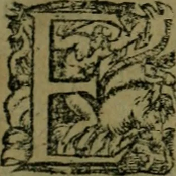 An illustration from Les lettres d'Estienne Pasquier, Conseiller & Advocat General du Roy à Paris : contenans plusieurs belles matieres & discours sur les affaires d'Estat de France, & touchant les guerres civiles, 1619, leaf 350