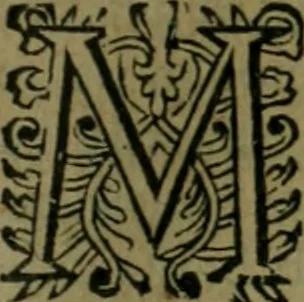An illustration from Les lettres d'Estienne Pasquier, Conseiller & Advocat General du Roy à Paris : contenans plusieurs belles matieres & discours sur les affaires d'Estat de France, & touchant les guerres civiles, 1619, leaf 354