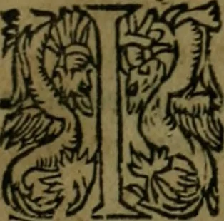 An illustration from Les lettres d'Estienne Pasquier, Conseiller & Advocat General du Roy à Paris : contenans plusieurs belles matieres & discours sur les affaires d'Estat de France, & touchant les guerres civiles, 1619, leaf 402