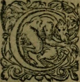 An illustration from Les lettres d'Estienne Pasquier, Conseiller & Advocat General du Roy à Paris : contenans plusieurs belles matieres & discours sur les affaires d'Estat de France, & touchant les guerres civiles, 1619, leaf 416