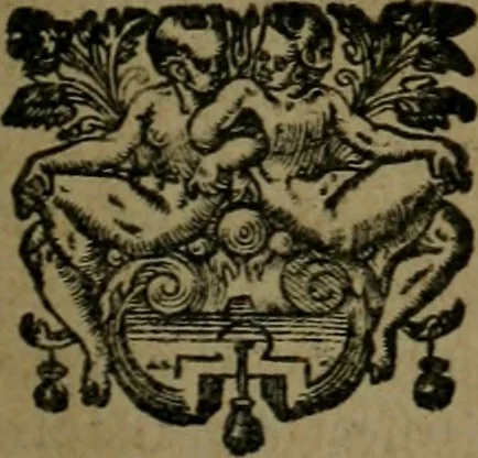 An illustration from Les lettres d'Estienne Pasquier, Conseiller & Advocat General du Roy à Paris : contenans plusieurs belles matieres & discours sur les affaires d'Estat de France, & touchant les guerres civiles, 1619, leaf 422
