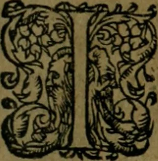 An illustration from Les lettres d'Estienne Pasquier, Conseiller & Advocat General du Roy à Paris : contenans plusieurs belles matieres & discours sur les affaires d'Estat de France, & touchant les guerres civiles, 1619, leaf 432