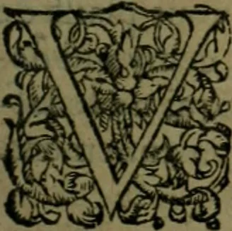 An illustration from Les lettres d'Estienne Pasquier, Conseiller & Advocat General du Roy à Paris : contenans plusieurs belles matieres & discours sur les affaires d'Estat de France, & touchant les guerres civiles, 1619, leaf 518