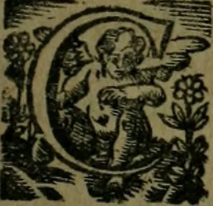 An illustration from Les lettres d'Estienne Pasquier, Conseiller & Advocat General du Roy à Paris : contenans plusieurs belles matieres & discours sur les affaires d'Estat de France, & touchant les guerres civiles, 1619, leaf 536