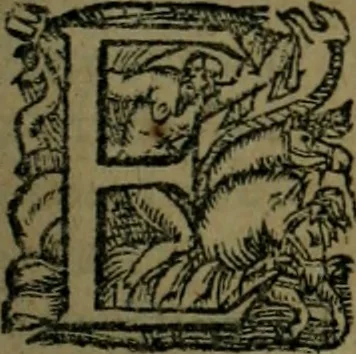 An illustration from Les lettres d'Estienne Pasquier, Conseiller & Advocat General du Roy à Paris : contenans plusieurs belles matieres & discours sur les affaires d'Estat de France, & touchant les guerres civiles, 1619, leaf 538