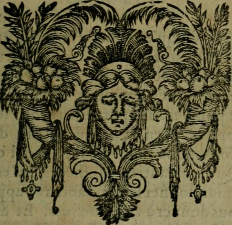 An illustration from Les lettres d'Estienne Pasquier, Conseiller & Advocat General du Roy à Paris : contenans plusieurs belles matieres & discours sur les affaires d'Estat de France, & touchant les guerres civiles, 1619, leaf 692