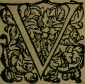 An illustration from Les lettres d'Estienne Pasquier, Conseiller & Advocat General du Roy à Paris : contenans plusieurs belles matieres & discours sur les affaires d'Estat de France, & touchant les guerres civiles, 1619, leaf 728