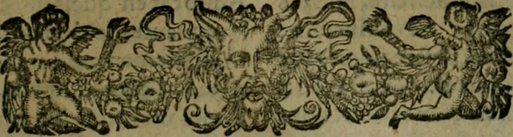 An illustration from Les lettres d'Estienne Pasquier, Conseiller & Advocat General du Roy à Paris : contenans plusieurs belles matieres & discours sur les affaires d'Estat de France, & touchant les guerres civiles, 1619, leaf 876
