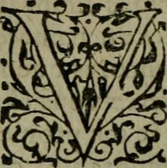 An illustration from Les lettres d'Estienne Pasquier, Conseiller & Advocat General du Roy à Paris : contenans plusieurs belles matieres & discours sur les affaires d'Estat de France, & touchant les guerres civiles, 1619, leaf 89