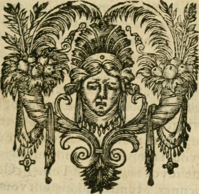 An illustration from Les lettres d'Estienne Pasquier, Conseiller & Advocat General du Roy à Paris : contenans plusieurs belles matieres & discours sur les affaires d'Estat de France, & touchant les guerres civiles, 1619, leaf 210