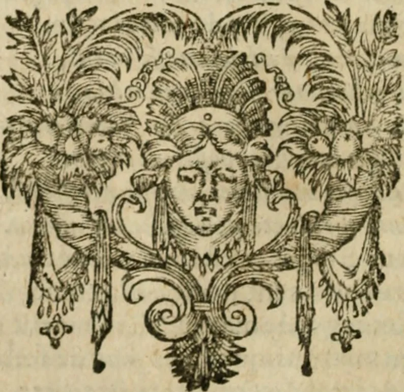 An illustration from Les lettres d'Estienne Pasquier, Conseiller & Advocat General du Roy à Paris : contenans plusieurs belles matieres & discours sur les affaires d'Estat de France, & touchant les guerres civiles, 1619, leaf 453