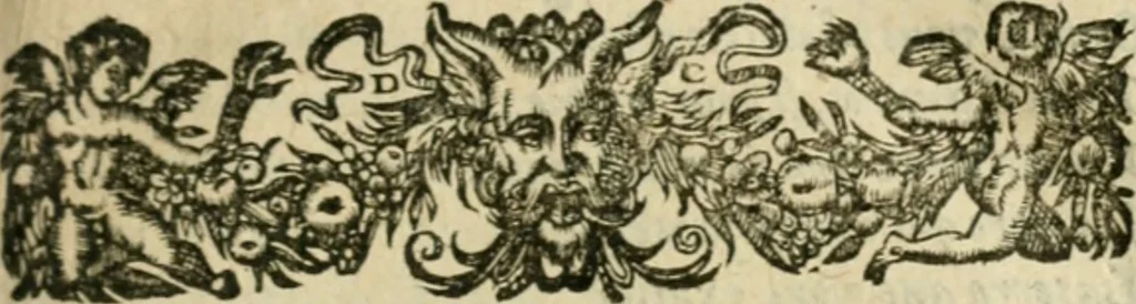 An illustration from Les lettres d'Estienne Pasquier, Conseiller & Advocat General du Roy à Paris : contenans plusieurs belles matieres & discours sur les affaires d'Estat de France, & touchant les guerres civiles, 1619, leaf 12