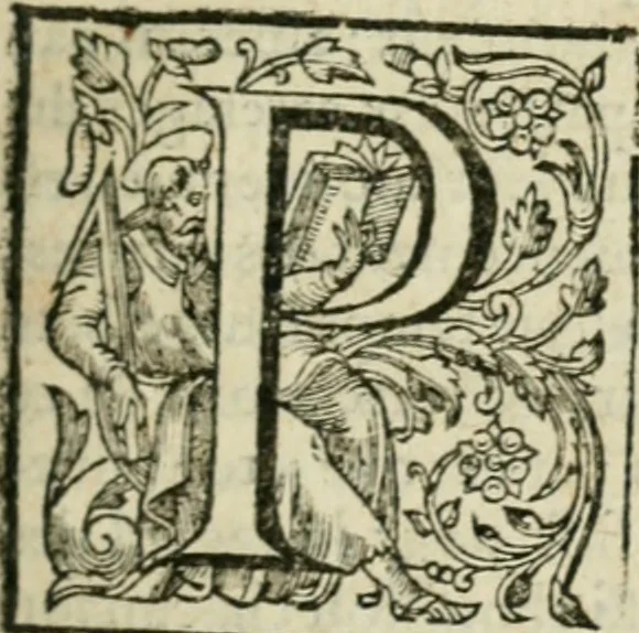 An illustration from Les lettres d'Estienne Pasquier, Conseiller & Advocat General du Roy à Paris : contenans plusieurs belles matieres & discours sur les affaires d'Estat de France, & touchant les guerres civiles, 1619, leaf 20