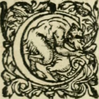 An illustration from Les lettres d'Estienne Pasquier, Conseiller & Advocat General du Roy à Paris : contenans plusieurs belles matieres & discours sur les affaires d'Estat de France, & touchant les guerres civiles, 1619, leaf 264