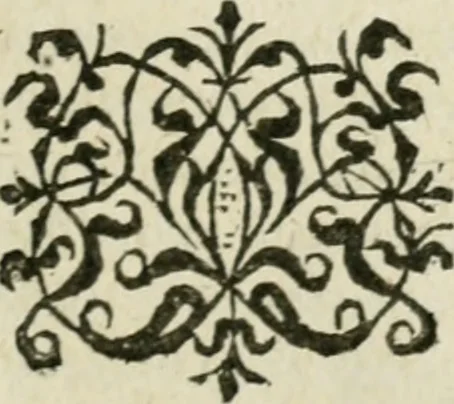 An illustration from Les lettres d'Estienne Pasquier, Conseiller & Advocat General du Roy à Paris : contenans plusieurs belles matieres & discours sur les affaires d'Estat de France, & touchant les guerres civiles, 1619, leaf 302