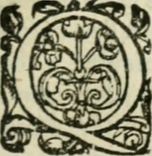An illustration from Les lettres d'Estienne Pasquier, Conseiller & Advocat General du Roy à Paris : contenans plusieurs belles matieres & discours sur les affaires d'Estat de France, & touchant les guerres civiles, 1619, leaf 304