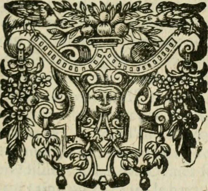 An illustration from Les lettres d'Estienne Pasquier, Conseiller & Advocat General du Roy à Paris : contenans plusieurs belles matieres & discours sur les affaires d'Estat de France, & touchant les guerres civiles, 1619, leaf 348