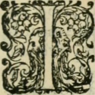 An illustration from Les lettres d'Estienne Pasquier, Conseiller & Advocat General du Roy à Paris : contenans plusieurs belles matieres & discours sur les affaires d'Estat de France, & touchant les guerres civiles, 1619, leaf 350