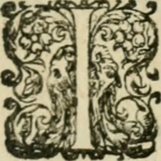 An illustration from Les lettres d'Estienne Pasquier, Conseiller & Advocat General du Roy à Paris : contenans plusieurs belles matieres & discours sur les affaires d'Estat de France, & touchant les guerres civiles, 1619, leaf 412