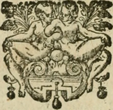 An illustration from Les lettres d'Estienne Pasquier, Conseiller & Advocat General du Roy à Paris : contenans plusieurs belles matieres & discours sur les affaires d'Estat de France, & touchant les guerres civiles, 1619, leaf 475