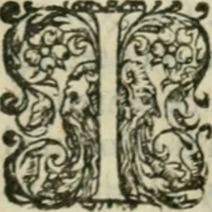 An illustration from Les lettres d'Estienne Pasquier, Conseiller & Advocat General du Roy à Paris : contenans plusieurs belles matieres & discours sur les affaires d'Estat de France, & touchant les guerres civiles, 1619, leaf 492