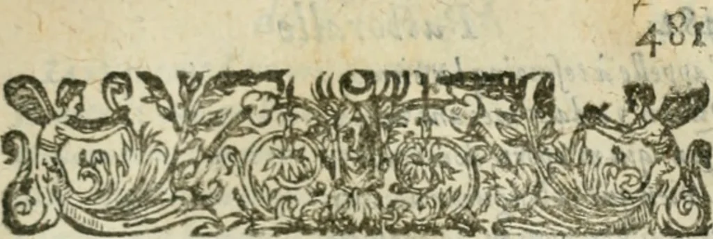 An illustration from Les lettres d'Estienne Pasquier, Conseiller & Advocat General du Roy à Paris : contenans plusieurs belles matieres & discours sur les affaires d'Estat de France, & touchant les guerres civiles, 1619, leaf 500