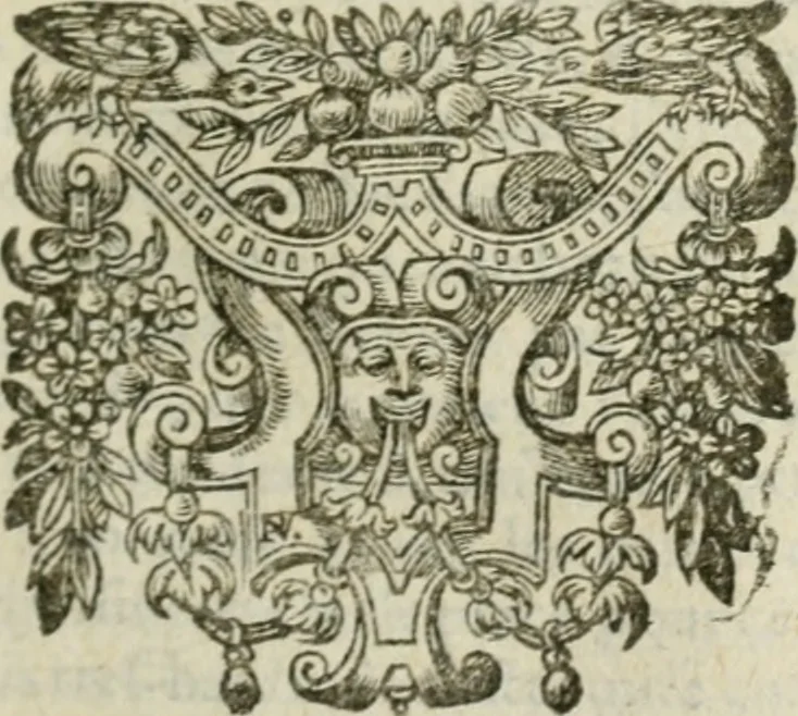 An illustration from Les lettres d'Estienne Pasquier, Conseiller & Advocat General du Roy à Paris : contenans plusieurs belles matieres & discours sur les affaires d'Estat de France, & touchant les guerres civiles, 1619, leaf 582