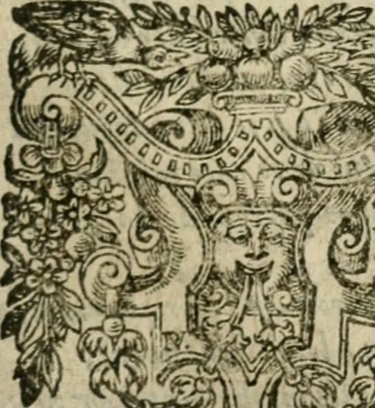 An illustration from Les lettres d'Estienne Pasquier, Conseiller & Advocat General du Roy à Paris : contenans plusieurs belles matieres & discours sur les affaires d'Estat de France, & touchant les guerres civiles, 1619, leaf 704
