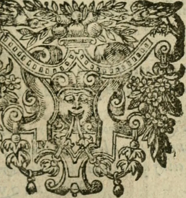 An illustration from Les lettres d'Estienne Pasquier, Conseiller & Advocat General du Roy à Paris : contenans plusieurs belles matieres & discours sur les affaires d'Estat de France, & touchant les guerres civiles, 1619, leaf 704