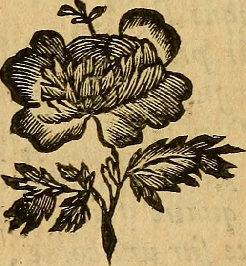 An illustration from Les élémens d'Euclide, 1778, leaf 159