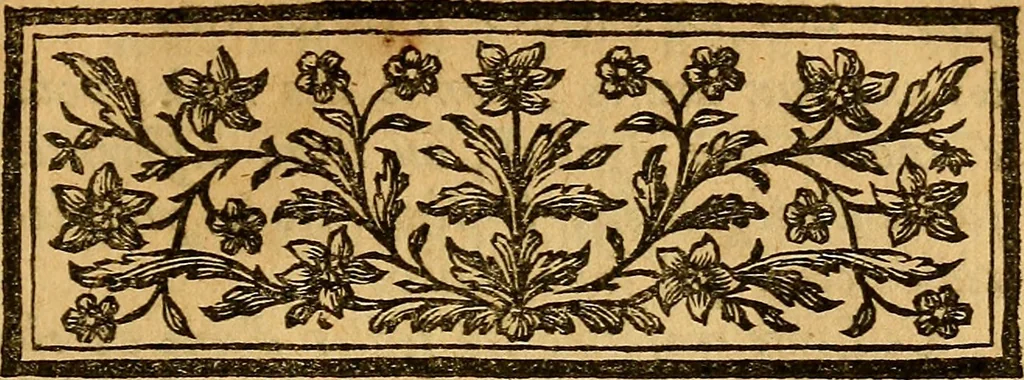 An illustration from Les élémens d'Euclide, 1778, leaf 320