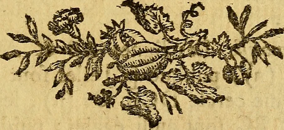 An illustration from Les élémens d'Euclide, 1778, leaf 44