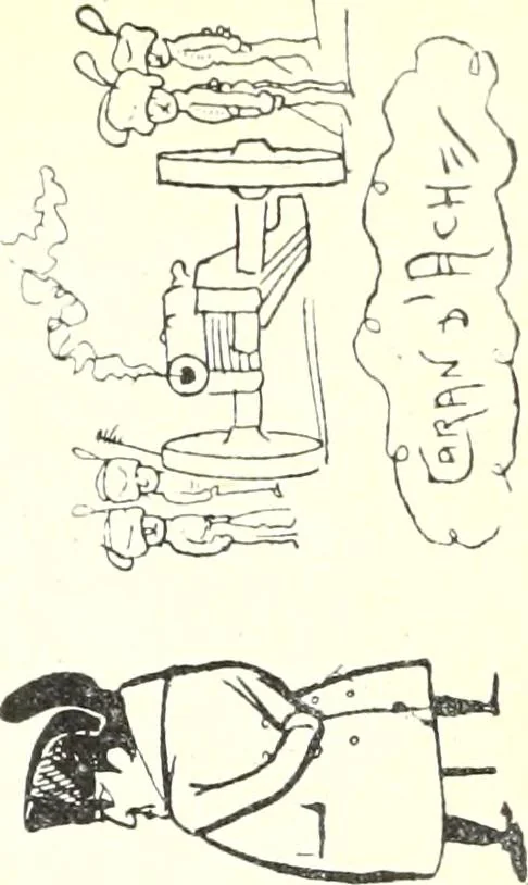 An illustration from Les maitres humoristes : les meilleurs dessins : les meilleurs légendes, 1905, leaf 162