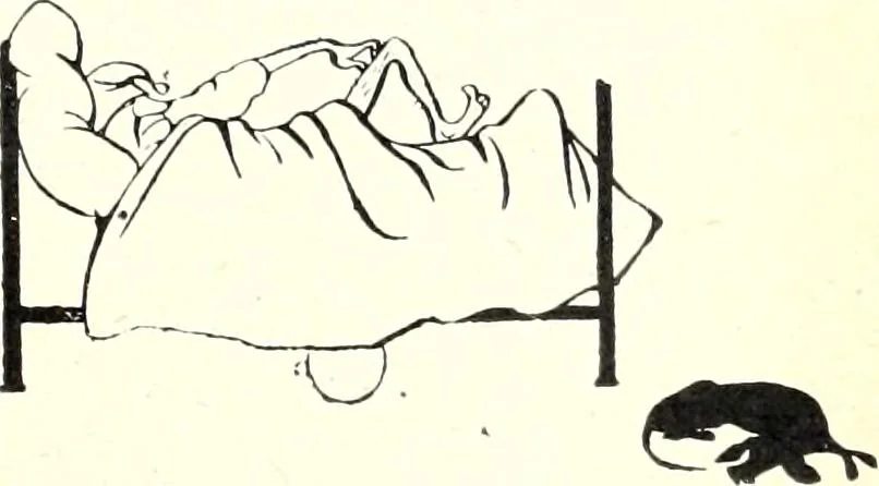 An illustration from Les maitres humoristes : les meilleurs dessins : les meilleurs légendes, 1905, leaf 62