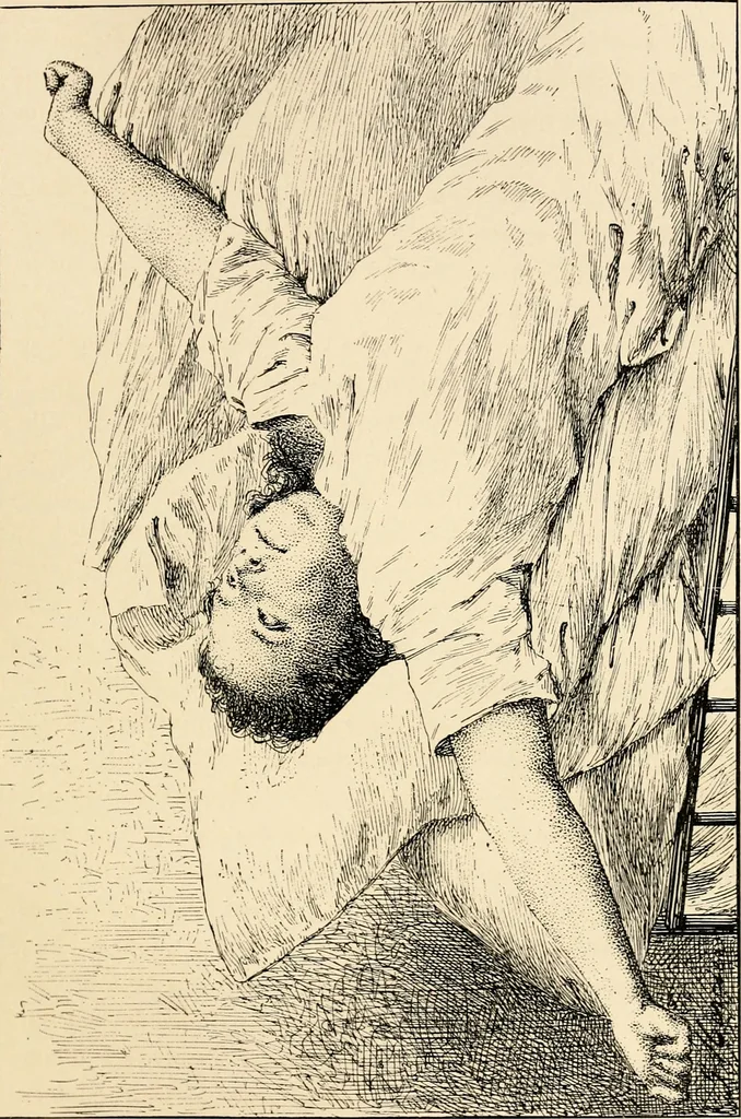 An illustration from Les maladies épidémiques de l'esprit; sorcellerie, magnétisme, morphinisme, délire des grandeurs, 1887, leaf 218