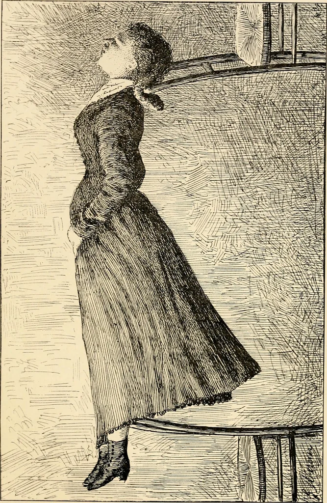 An illustration from Les maladies épidémiques de l'esprit; sorcellerie, magnétisme, morphinisme, délire des grandeurs, 1887, leaf 272