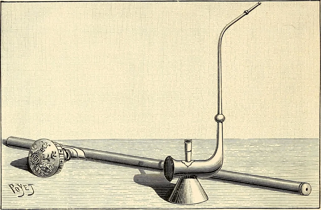 An illustration from Les maladies épidémiques de l'esprit; sorcellerie, magnétisme, morphinisme, délire des grandeurs, 1887, leaf 319