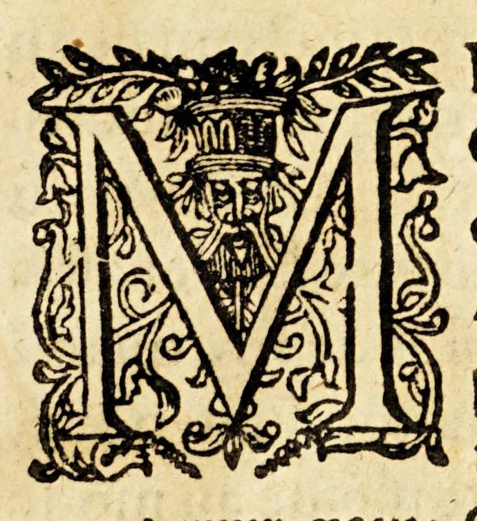 An illustration from Les marques inseparables de la vraie Eglise, euidentes en l'Eglise romaine, et incogneues de la Reformèe, despuis leur premiere origine iusques aujourdhuy. A mesieurs les pretendus reformes interieurement appellés à la foy catholique. : Discours solide, facile & diuertissant, non moins vtile aux catholiques, qu'aux pretendus reformés, 1644, leaf 19
