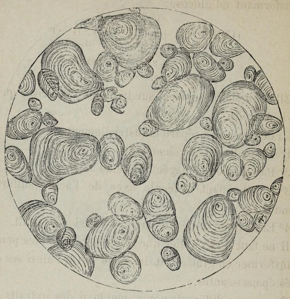 An illustration from Les matier̀es colorantes et la chimie de la teinture ..., 1890, leaf 274