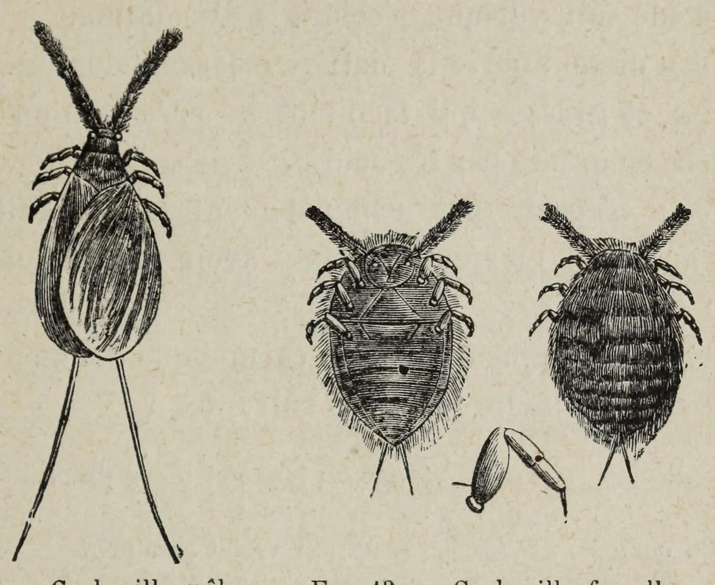 An illustration from Les matier̀es colorantes et la chimie de la teinture ..., 1890, leaf 83