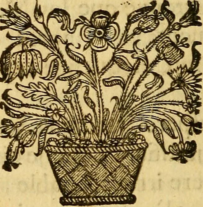 An illustration from Les medecins à la censure, ou, Entretiens sur la médecine, 1677, leaf 283