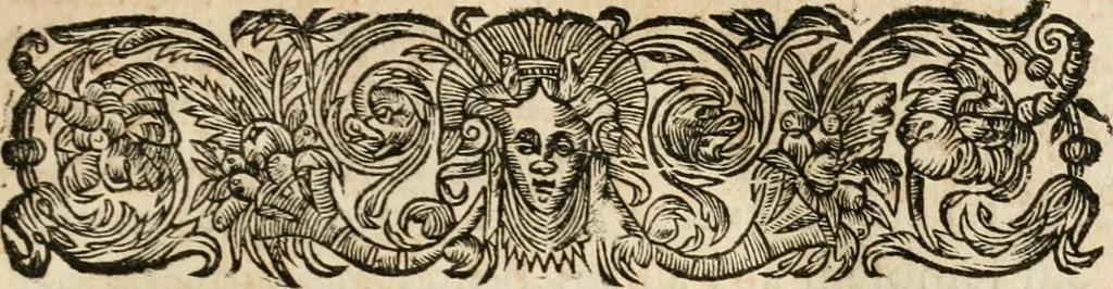 An illustration from Les meditations metaphysiqves de René Des-cartes, tovchant la premiere philosophie dans lesquelles l'existence de Dieu, & la distinction réelle entre l'ame & le corps de l'homme, sont demonstrées, 1647, leaf 174