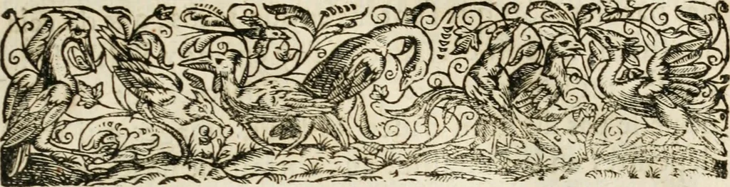An illustration from Les meditations metaphysiqves de René Des-cartes, tovchant la premiere philosophie dans lesquelles l'existence de Dieu, & la distinction réelle entre l'ame & le corps de l'homme, sont demonstrées, 1647, leaf 224