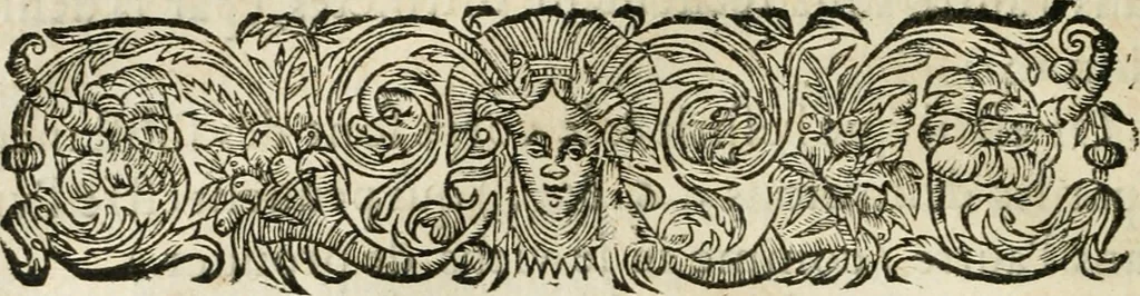 An illustration from Les meditations metaphysiqves de René Des-cartes, tovchant la premiere philosophie dans lesquelles l'existence de Dieu, & la distinction réelle entre l'ame & le corps de l'homme, sont demonstrées, 1647, leaf 239