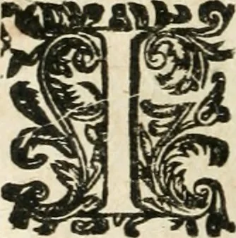 An illustration from Les meditations metaphysiqves de René Des-cartes, tovchant la premiere philosophie dans lesquelles l'existence de Dieu, & la distinction réelle entre l'ame & le corps de l'homme, sont demonstrées, 1647, leaf 239